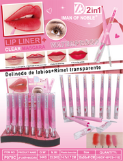 LABIAL Ref:P079C